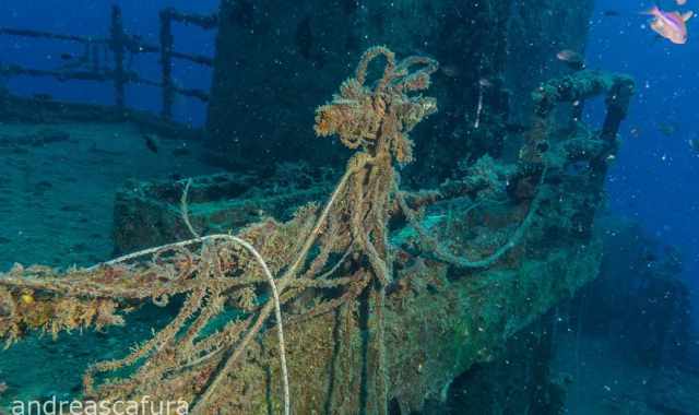 Navi, pescherecci e sommergibili: viaggio tra i relitti che giacciono sul fondo del mare